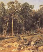 Ivan Shishkin A Pine Forest Mast-Timber forest in Viatka Province china oil painting reproduction